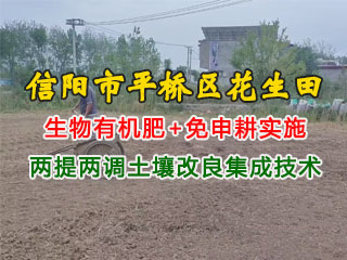 信陽市平橋區(qū)花生田使用潤博盛生物有機(jī)肥